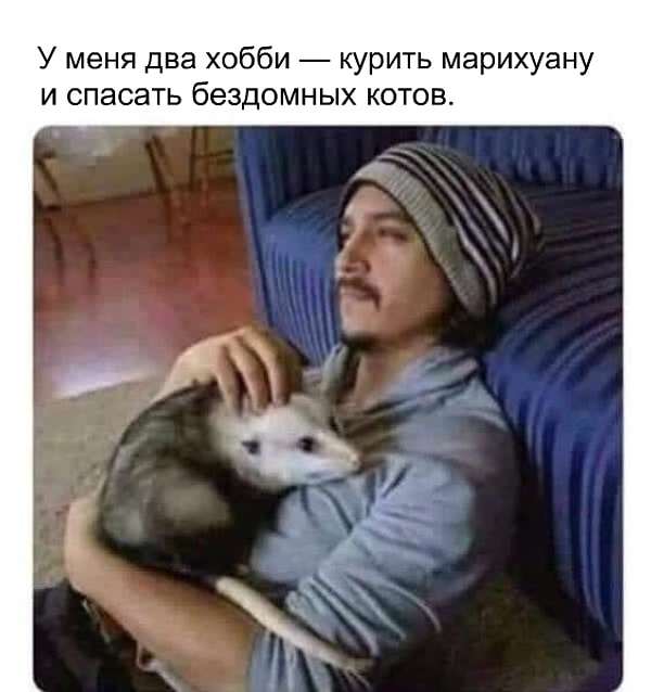 6. И нам, трезвым, их точно не понять