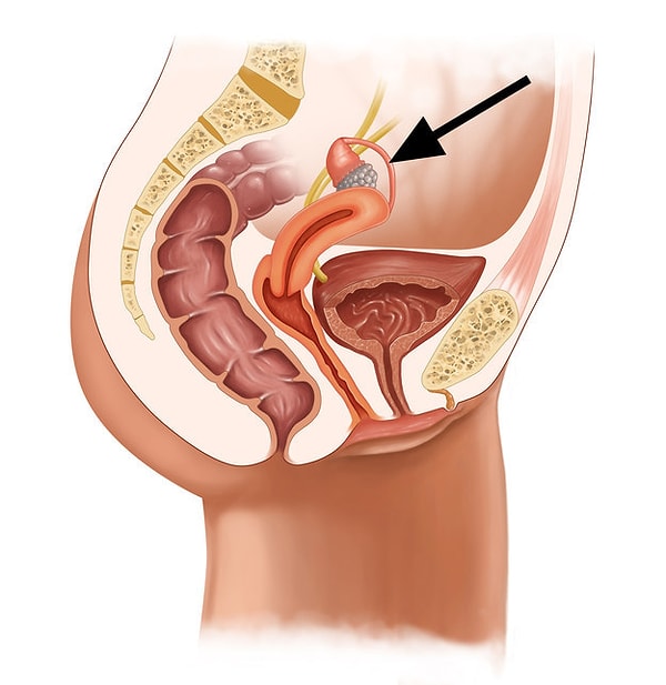 7. Продолжаем. Что это?