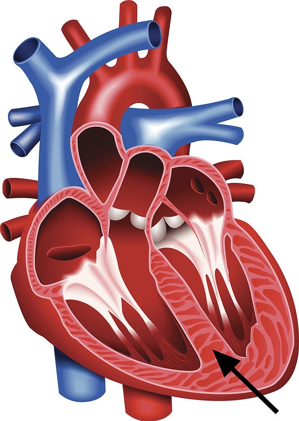 10. А это посложнее будет. Что это?