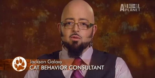 15. Cat Behavior Consultant