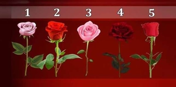 Итак, перед вам пять прекрасных цветов. Выберите номер розы, которая вам нравится больше всех. Долго не думайте, а доверьтесь своей интуиции.