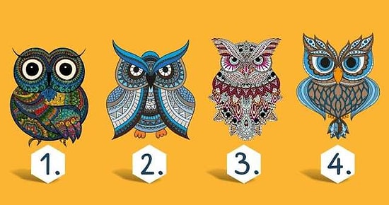 Тест: Выберите сову и узнайте горькую правду о своем характере
