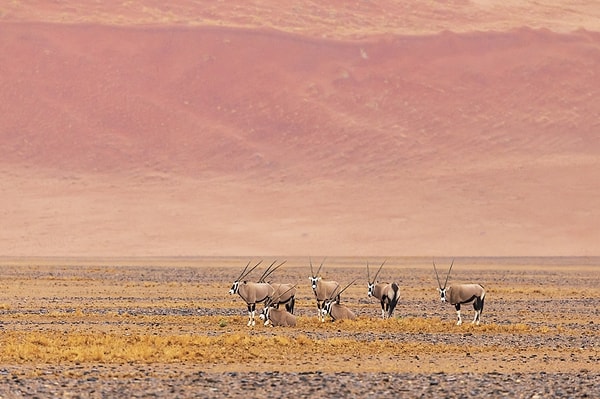 11. Еще один участник категории "Поведение"