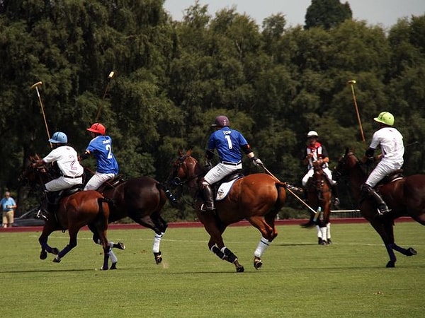 2. А где впервые сыграли в поло?