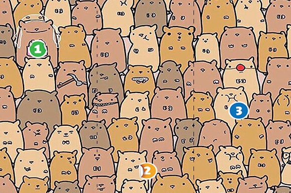 5. Среди этих забавных хомяков спряталась одна картошка. В какой части рисунка она находится?