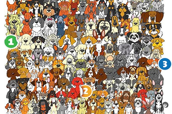 7. Между этими собачками примастилась панда! Но вот в каком блоке?