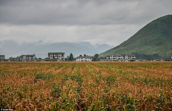 13. Кажется, настает время сбора урожая