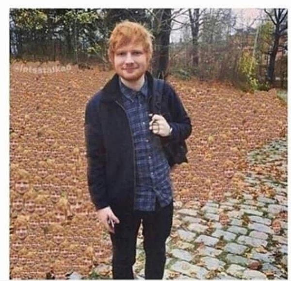 2. Нужно буквально секунд 5, чтобы понять, что с этим снимком не все так просто