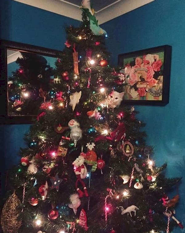 6. Ну тут все легко, вам и подсказок не надо