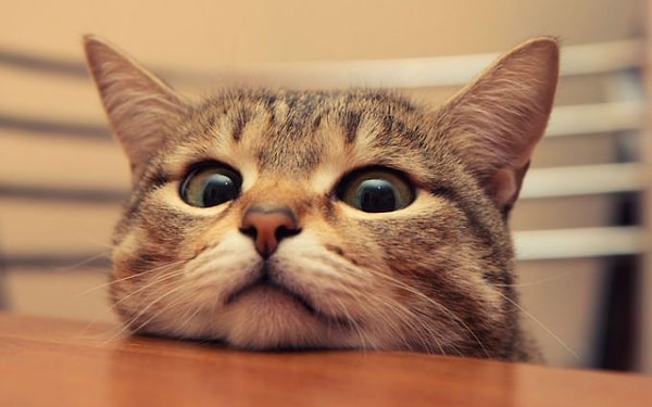 Вы с оптимизмом смотрите на будущее