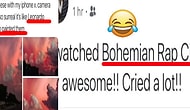 Here Are 27 of the Dumbest Things That Happened in 2018