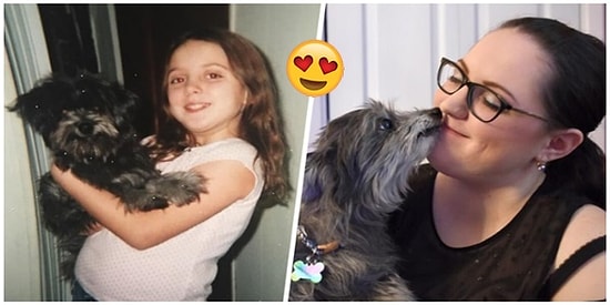 Barınaktan Sahiplendiği Yaşlı Köpeğin Küçükken Baktığı Köpek Olduğunu Öğrenen Kadın 😍