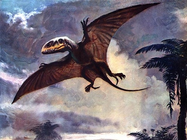 Вы настоящий птеродактиль