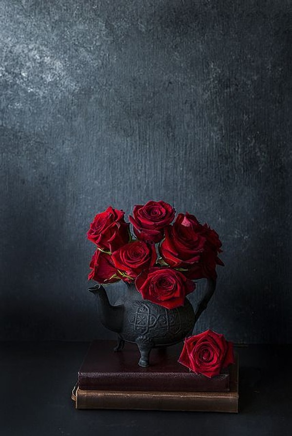 14. Красные розы выделяются на фоне других цветов, не так ли?