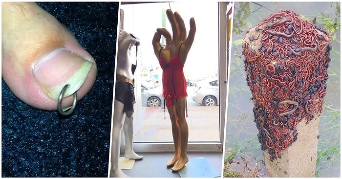 Görenleri Rahatsız Etmekle Kalmayıp Resmen Çığlık Attıracak 17 Talihsiz Kare