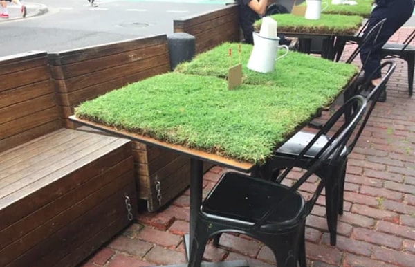 2. Хотите пикник на траве? Да пожалуйста!