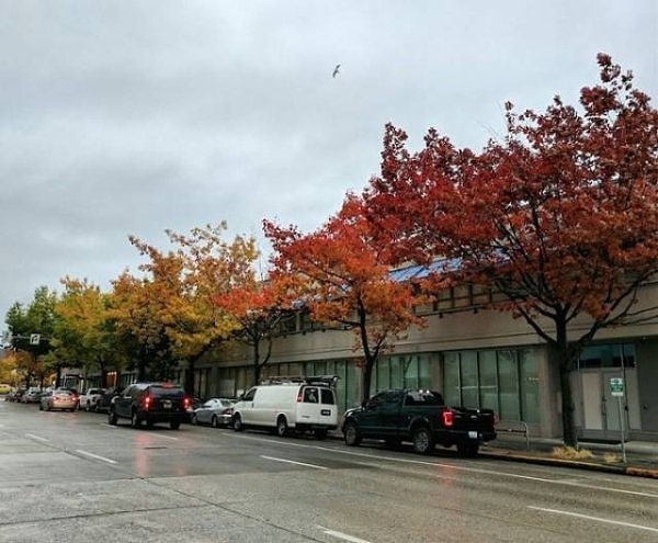 21. Прекрасный переход цвета: