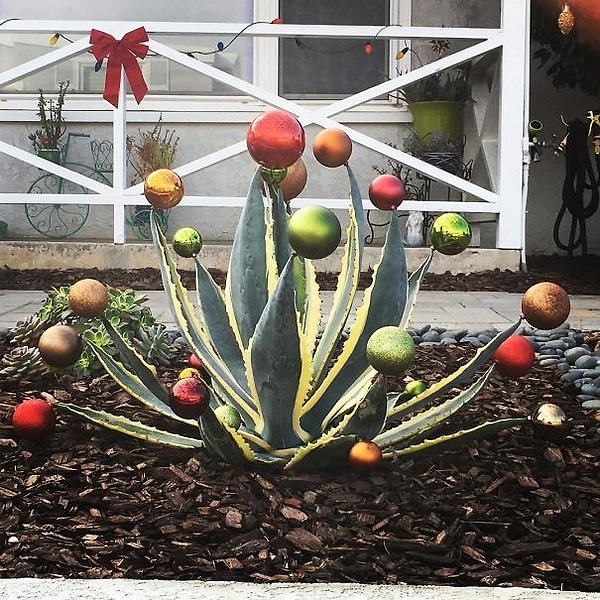 8. Ёлка по-калифорнийски