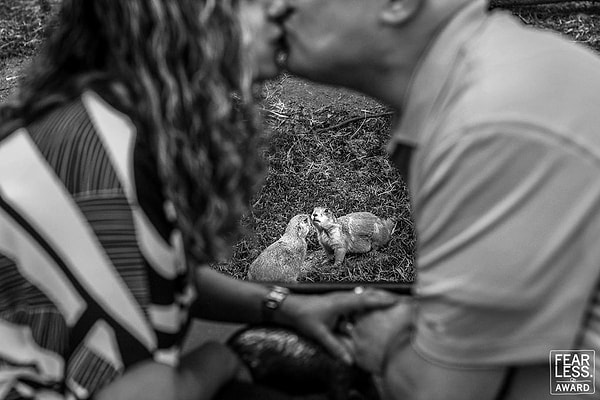 13. Фото: Nat Wongsaroj