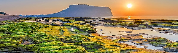 14. Этот азиатский остров - кандидат в чудеса света. Как он называется?