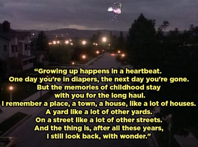 4. The Wonder Years (1988-1993)