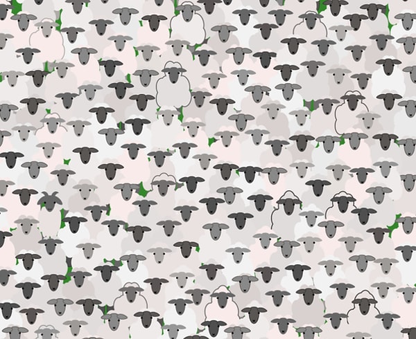 10. Нужно найти козу среди барашков