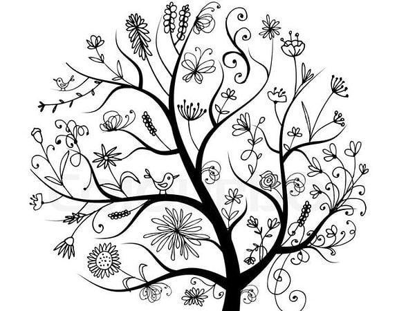 5. Какое дерево нравится лично вам?