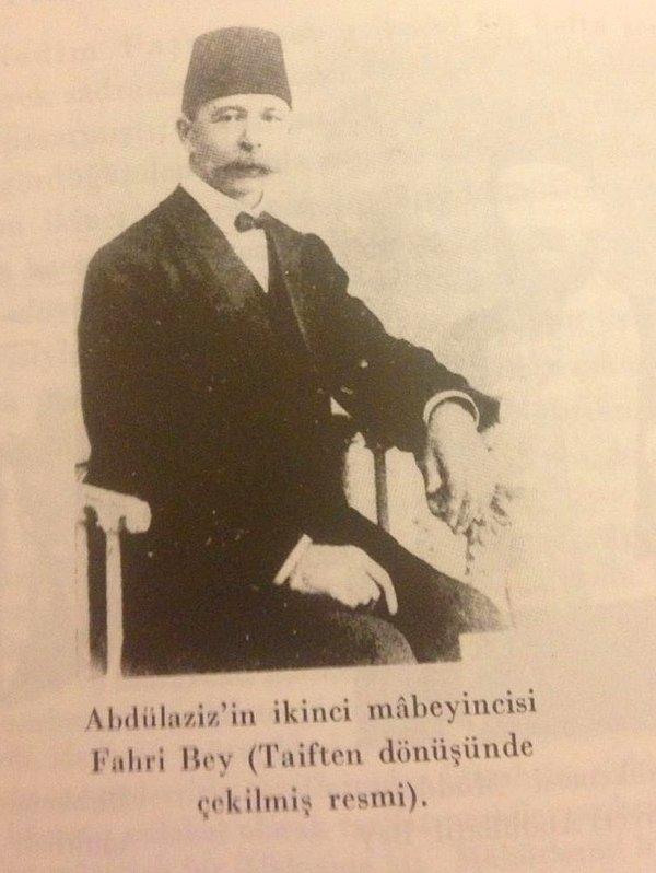 Aynı sıralarda İstanbul'da da bir dizi gözaltılar olmuştu. Sultan Abdülaziz öldüğü sırada sarayda bulunanlardan 2. Mabeynci Fahri Bey ve cinayetle suçlanan 3 kişi daha sorguya alındı.