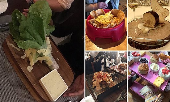 Kütükten Mama Kabına Pahalı Restoranlarda Sunum Uğruna Yapılmış Aşırı Gereksiz Şekiller