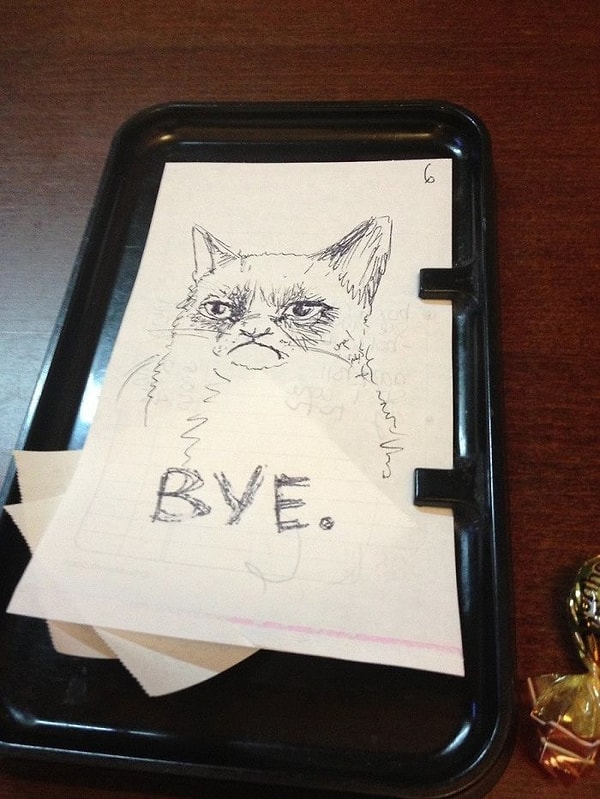 20. "Кажется, мы не понравились нашему официанту"