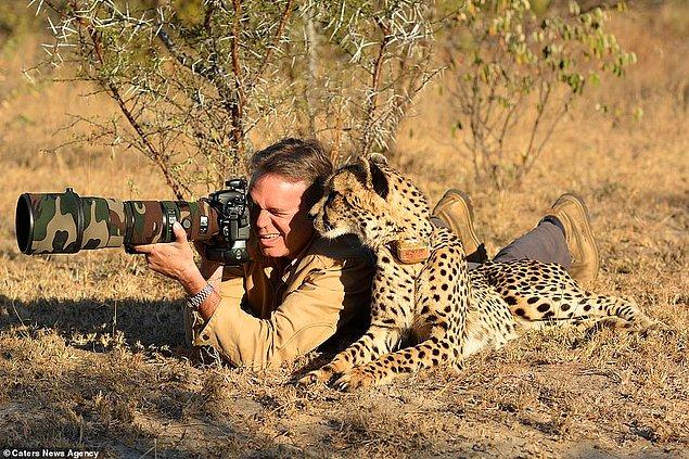10. Mtombi isimli çita Chris Du Plessis'e fotoğrafçılıkta yardım eli uzatmaya karar vermiş. 😍😍