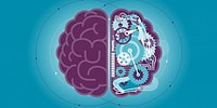 Тест, который пройдут на 10/10 только те, у кого IQ выше среднего