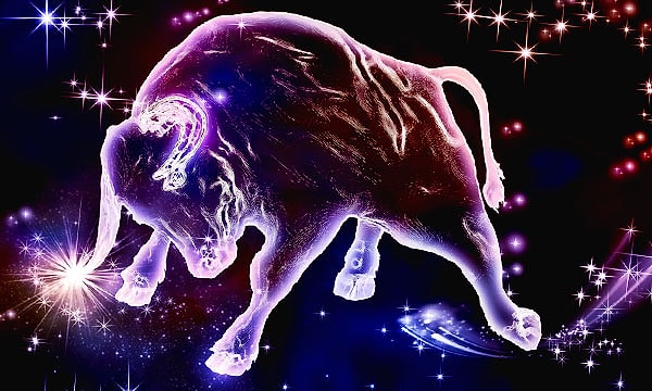 Вы склонны к накапливанию хлама