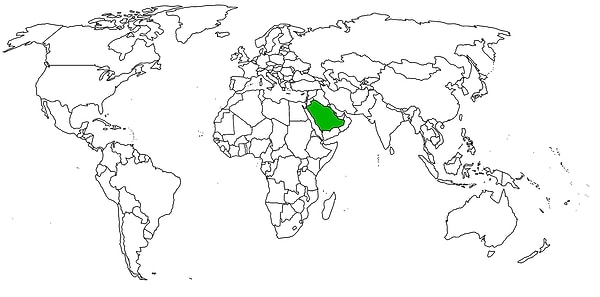 8. Какая страна отмечена на карте?