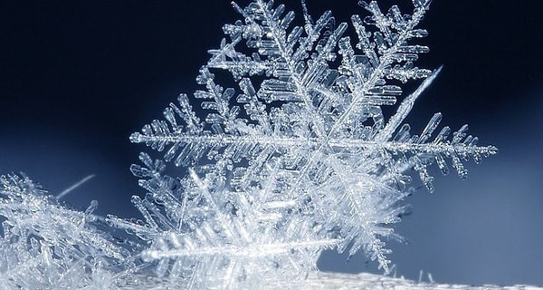 Вы человек, который ищет баланса во всех сферах жизни