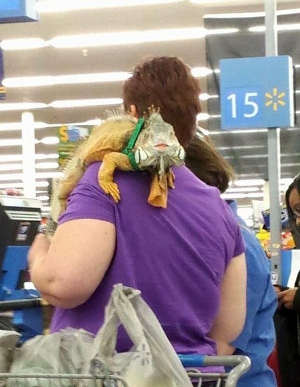 4. Самая что ни на есть матерь дракона!