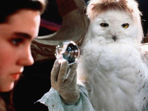 8. Ну и как же без Букли?