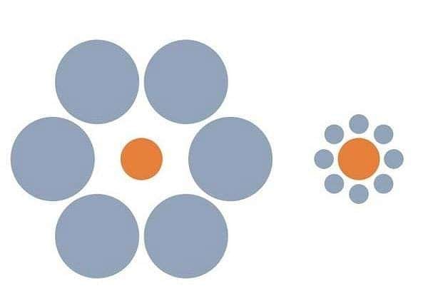 2. Как ни странно, но кружки в середине одного размера!