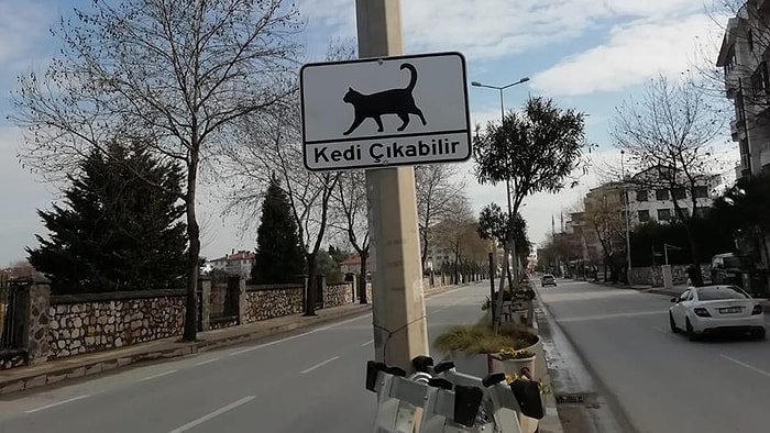 Yalova Belediyesi'nden Alkışlanacak Hareket: Sürücüler İçin 'Kedi Çıkabilir' Uyarısı