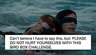 Netflix Warned Fans About 'Bird Box Challenge' To Not Hurt Themselves!