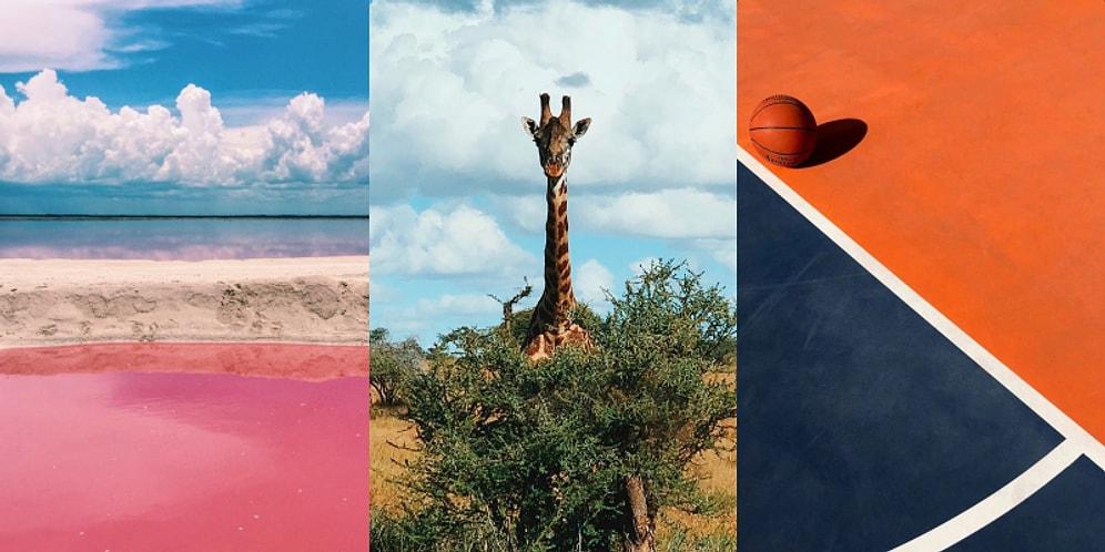 Apple Shared 10 Amazing Wallpapers On Their Instagram Story!