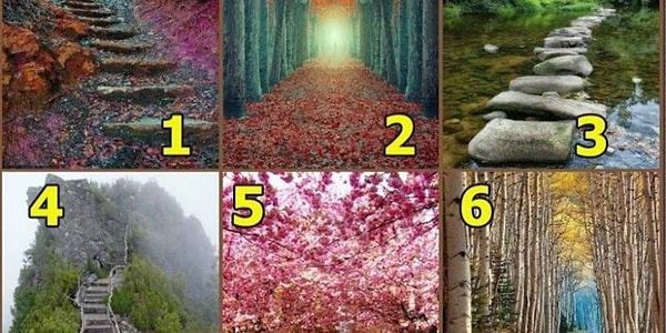 Перед вами 6 картинок, на каждой из которых изображена дорога. Подумайте, по какой из них вы хотели бы прогуляться, и жмите на ответ.