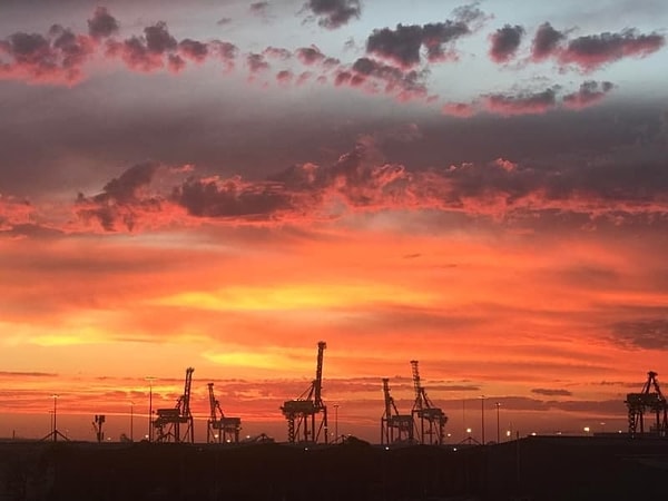 6. А тут жирафики наслаждаются закатом