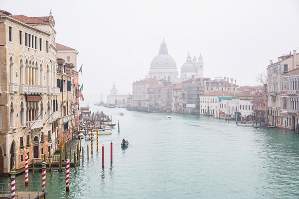 10. С какого дерева можно собрать фиги?