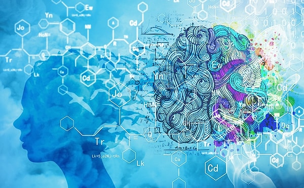 1. Что изучает энтомология?