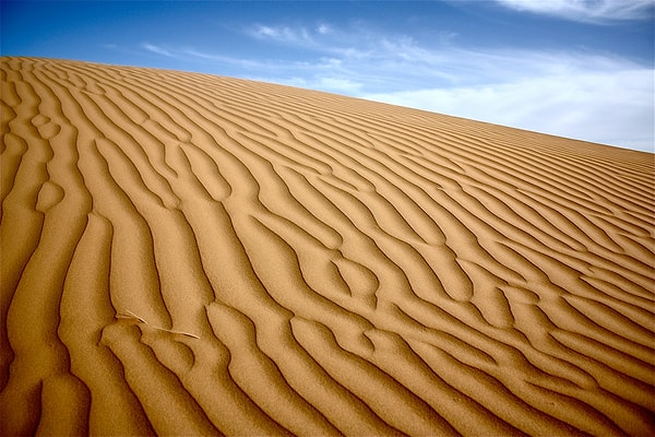 12. Каким из этих морей не омывается пустыня Сахара?