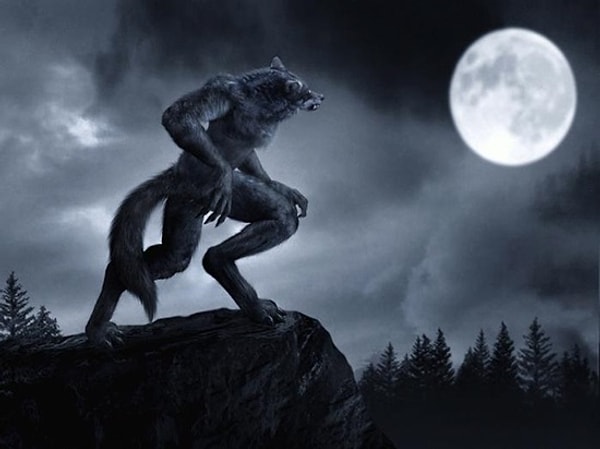 15. Оборотень