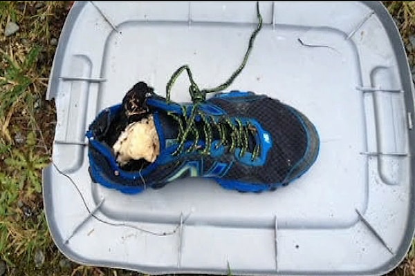 6. Пляж плавающих ног