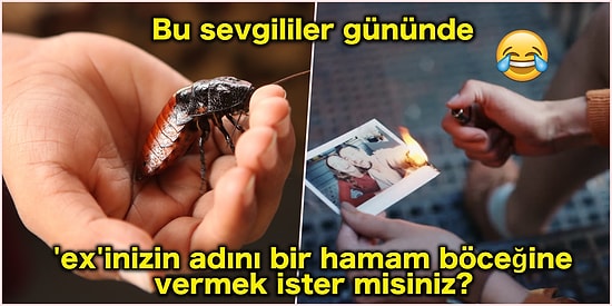 Bu Sevgililer Gününde Hamam Böceğine Eski Sevgilinizin İsmini Verebilirsiniz!