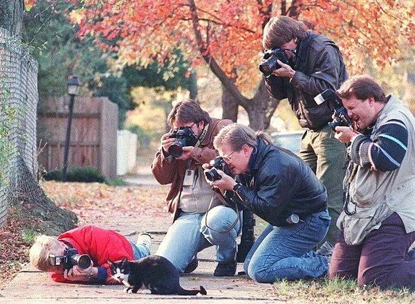 22. Eski Başkan Bill Clinton'ın kedisi paparazzilere yakalanırsa, 1993.